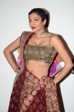 Diandra Soares at Shaina NC preview for Pidilite show in Mumbai on 26th Feb 2015